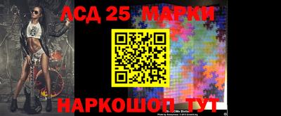 прущие грибы Можайск