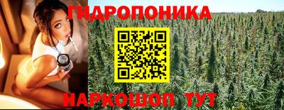 прущие грибы Можайск