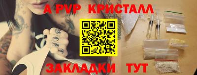 прущие грибы Можайск
