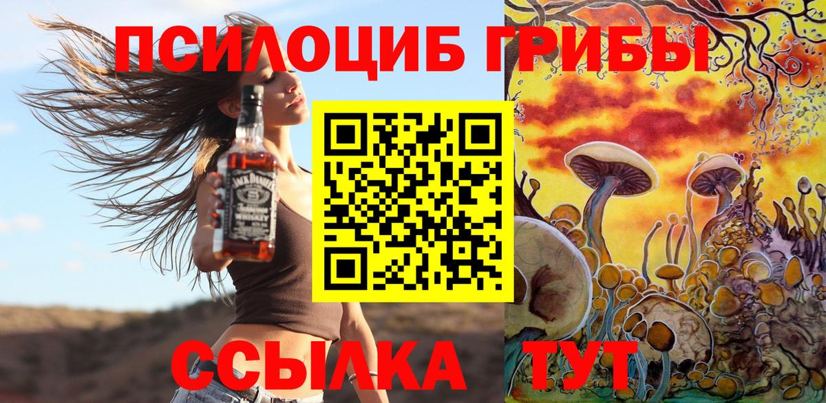 Видное  Псилоцибиновые грибы Psilocybine cubensis  Псилоцибиновые грибы Magic Shrooms  Вход с VPN 