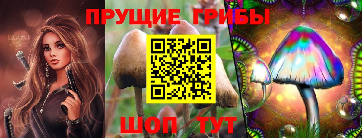 Псилоцибиновые грибы прущие грибы Видное